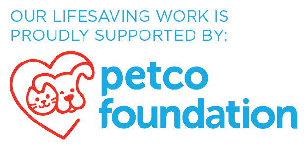 The Petco Foundation